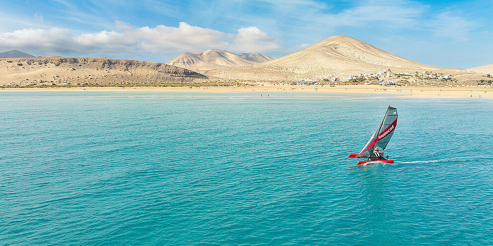 Happy Cat Star Carbon