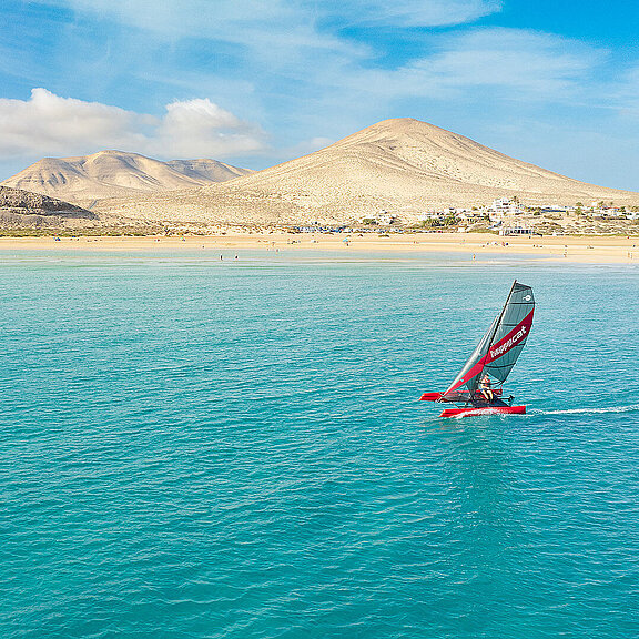 Happy Cat Star Carbon