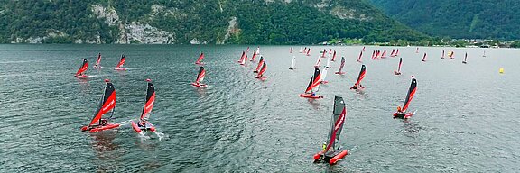 Nachlese Happy Cat Treffen 2025