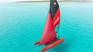 Happy Cat Star mit Rollbooster am Meer