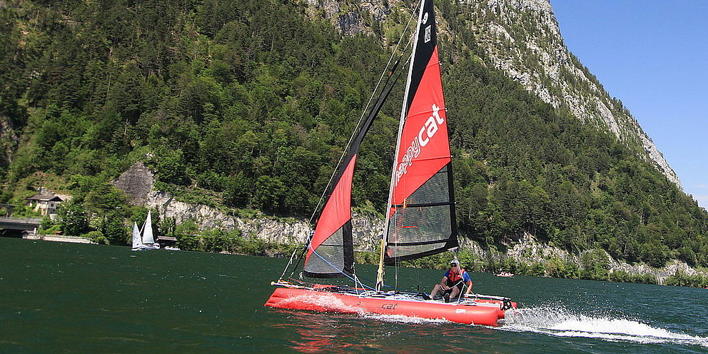HAPPY CAT TEST /Ebensee am Traunsee HAPPY CAT TEST /Ebensee am Traunsee