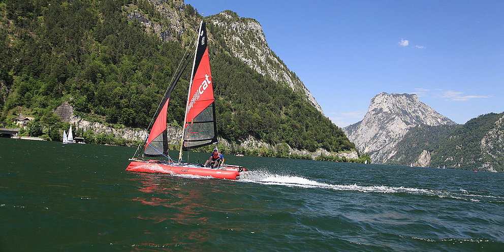 HAPPY CAT TEST / Ebensee am Traunsee