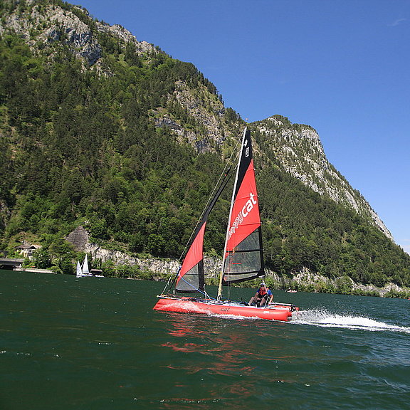 HAPPY CAT TEST / Ebensee am Traunsee